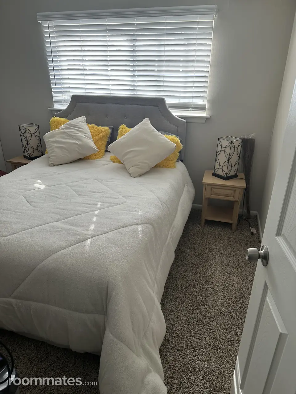 Profile photo 1 of 11