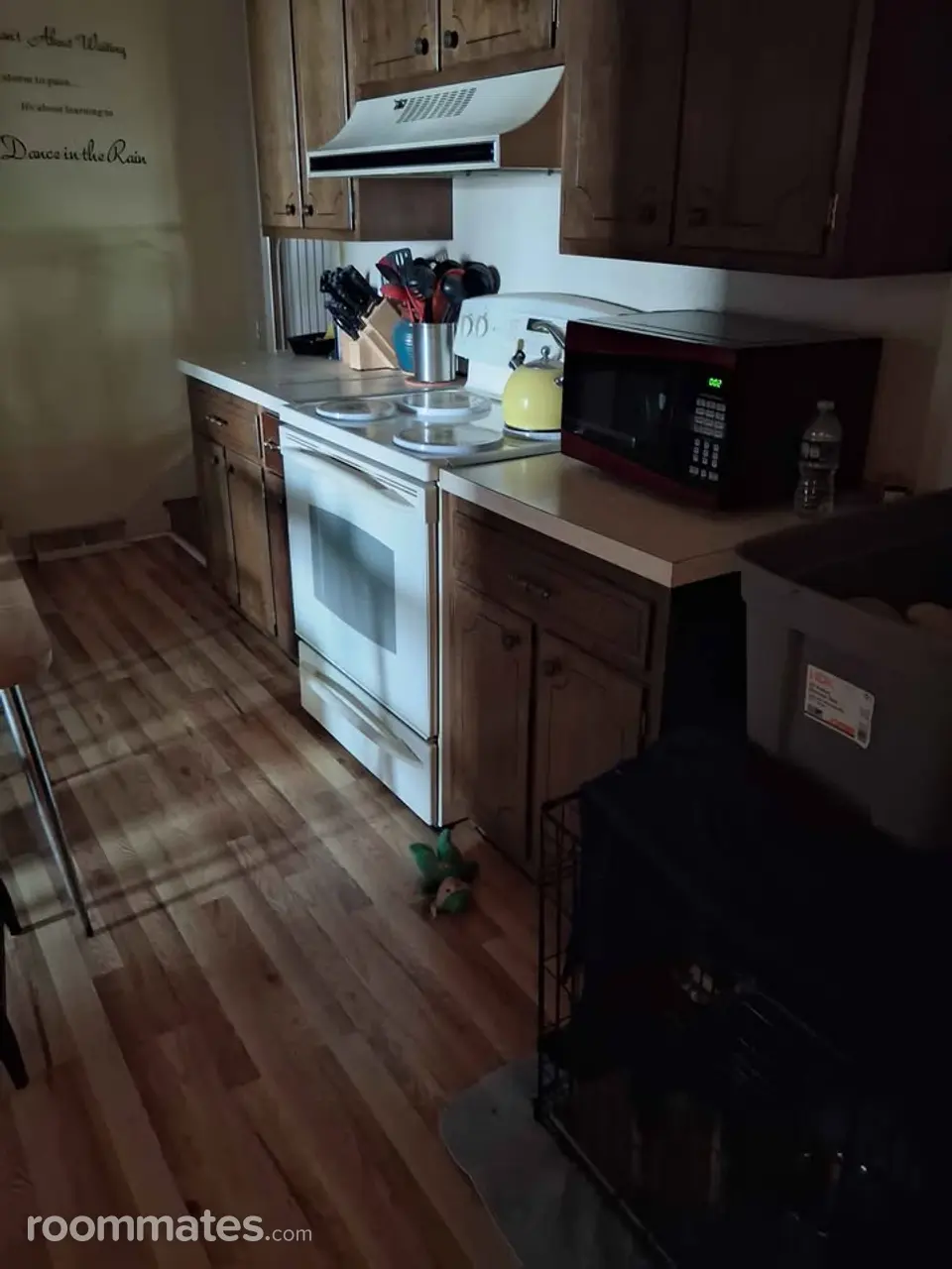 Profile photo 6 of 9