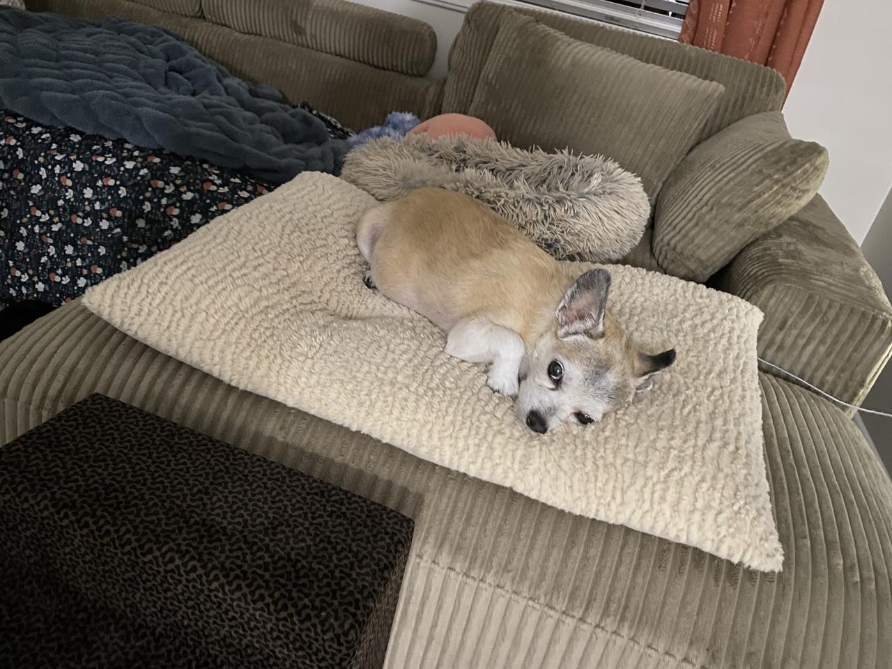 Profile photo 2 of 12