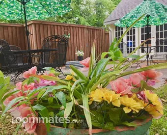 Room for rent in Dallas, TX $835, house