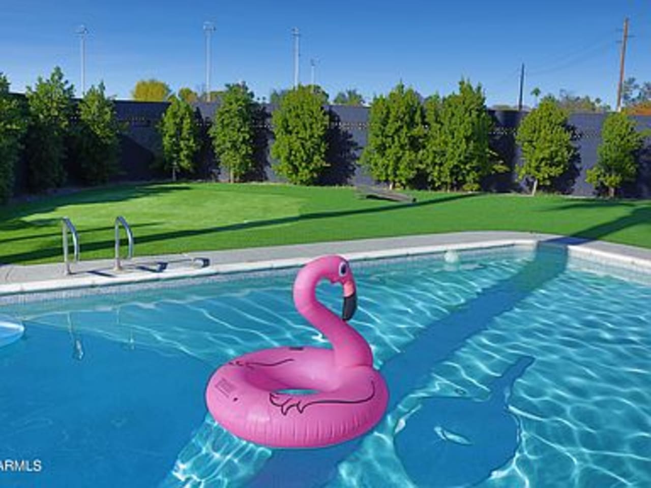 Profile photo 6 of 7