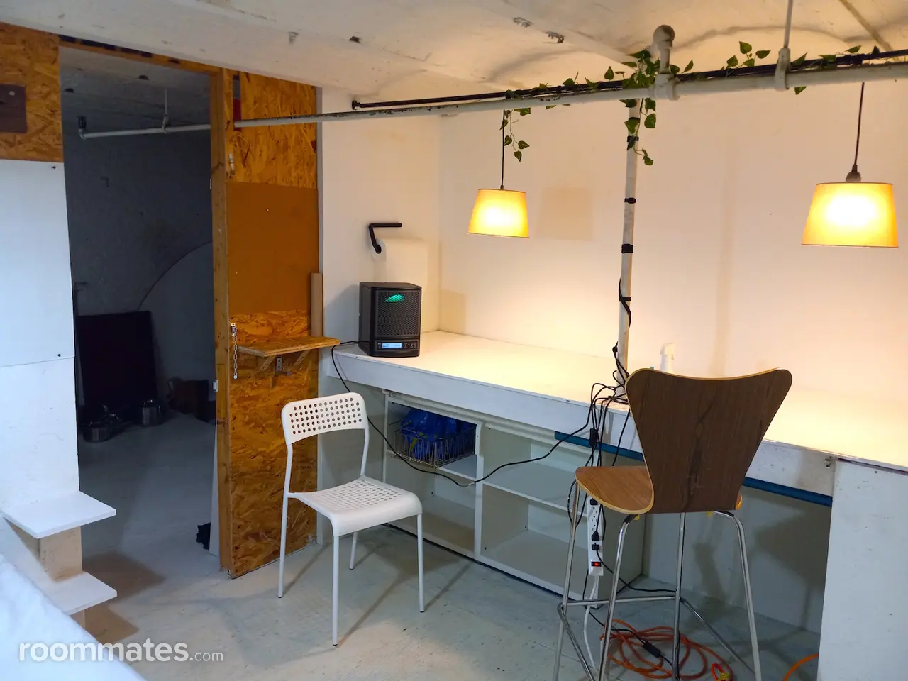 Profile photo 4 of 11