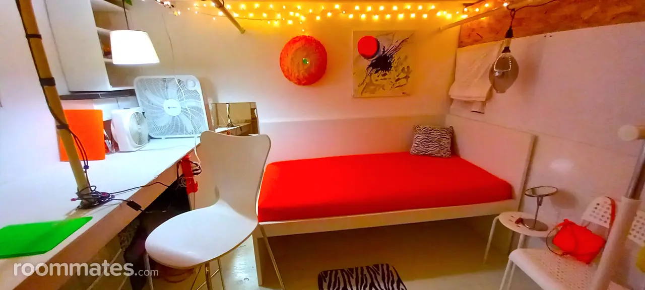 Profile photo 7 of 11