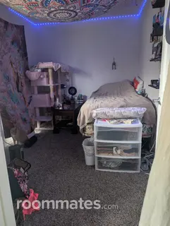 Room for rent in Fort Collins, CO $850, apartment