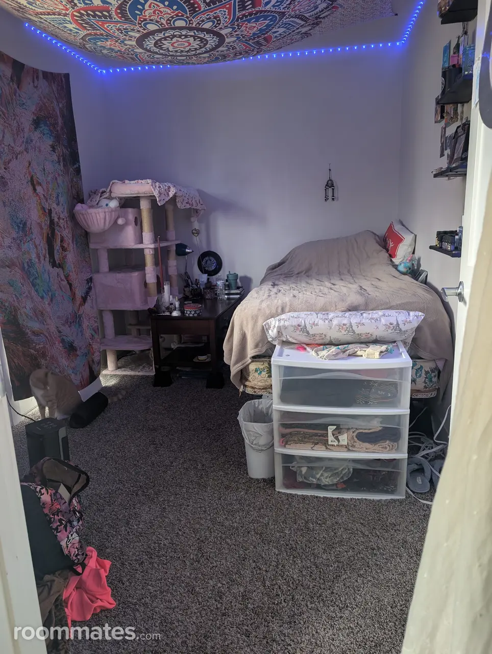 Profile photo 1 of 8