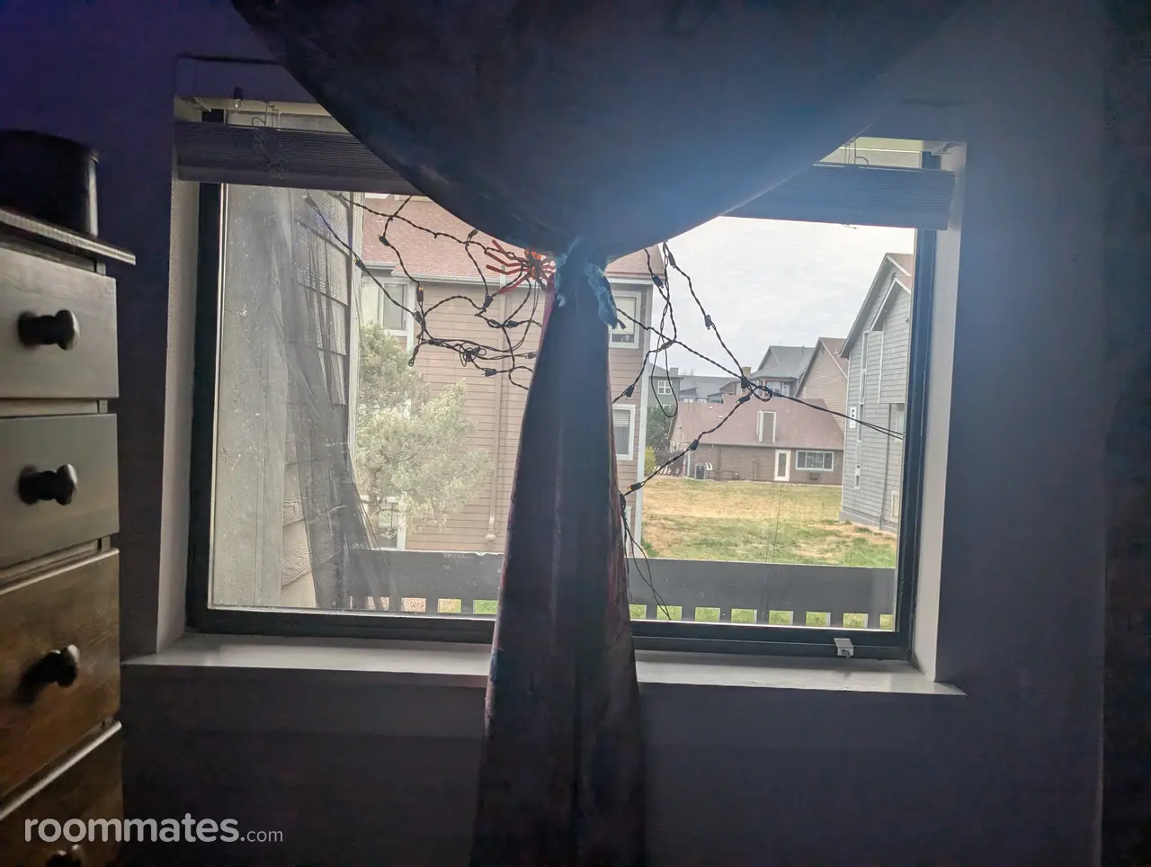 Profile photo 2 of 8