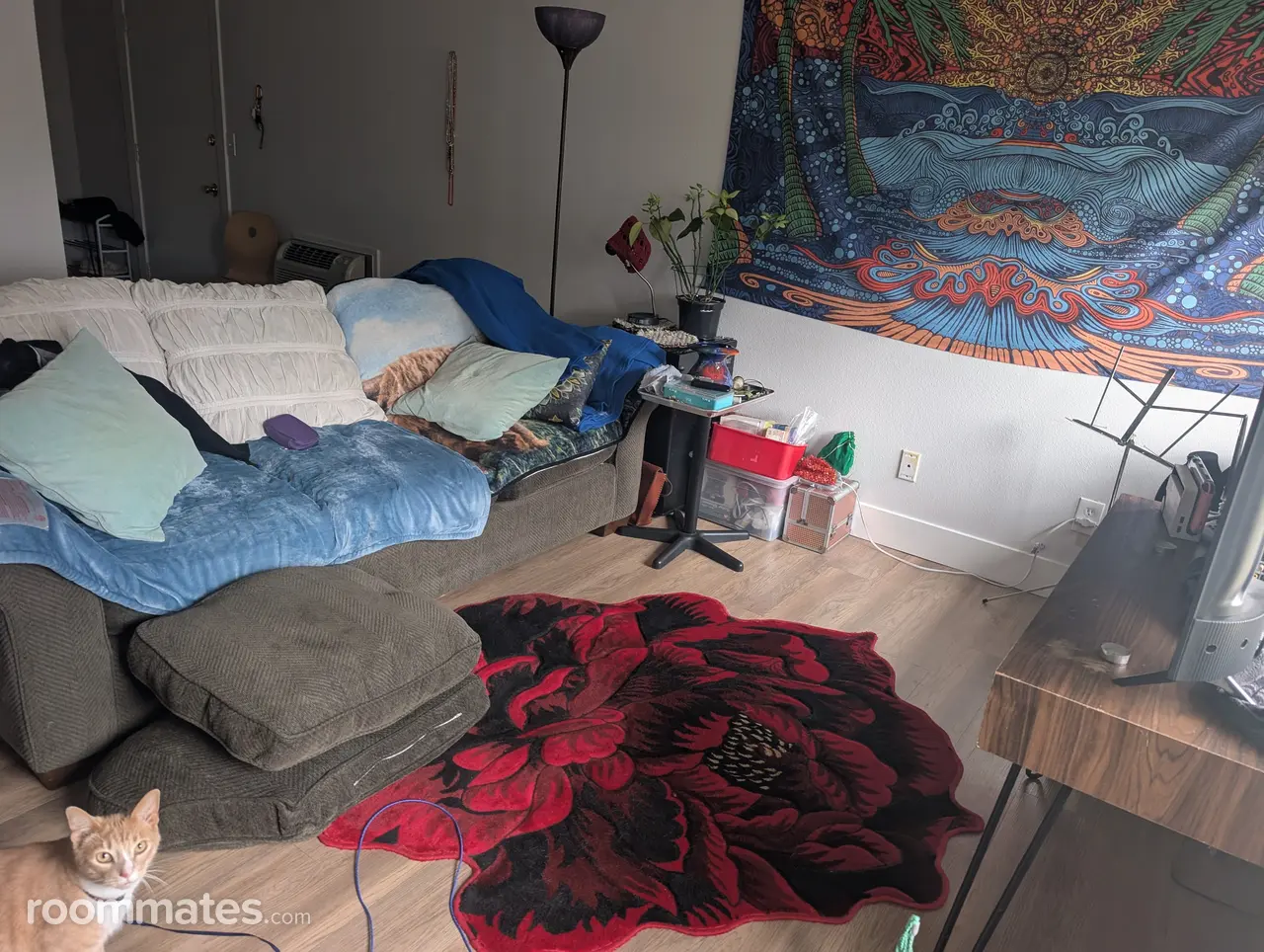 Profile photo 4 of 8