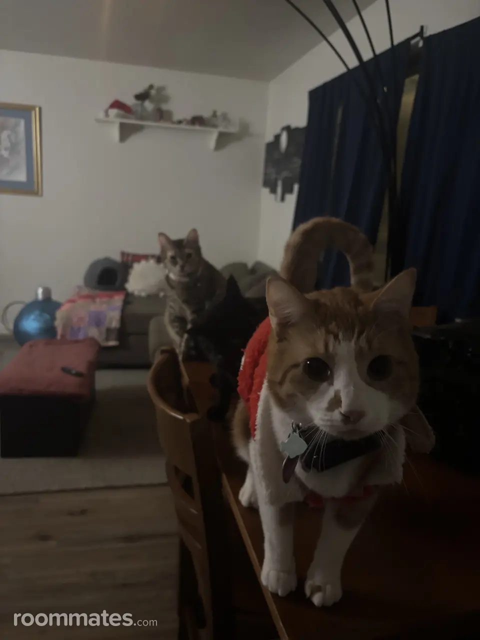 Profile photo 2 of 8