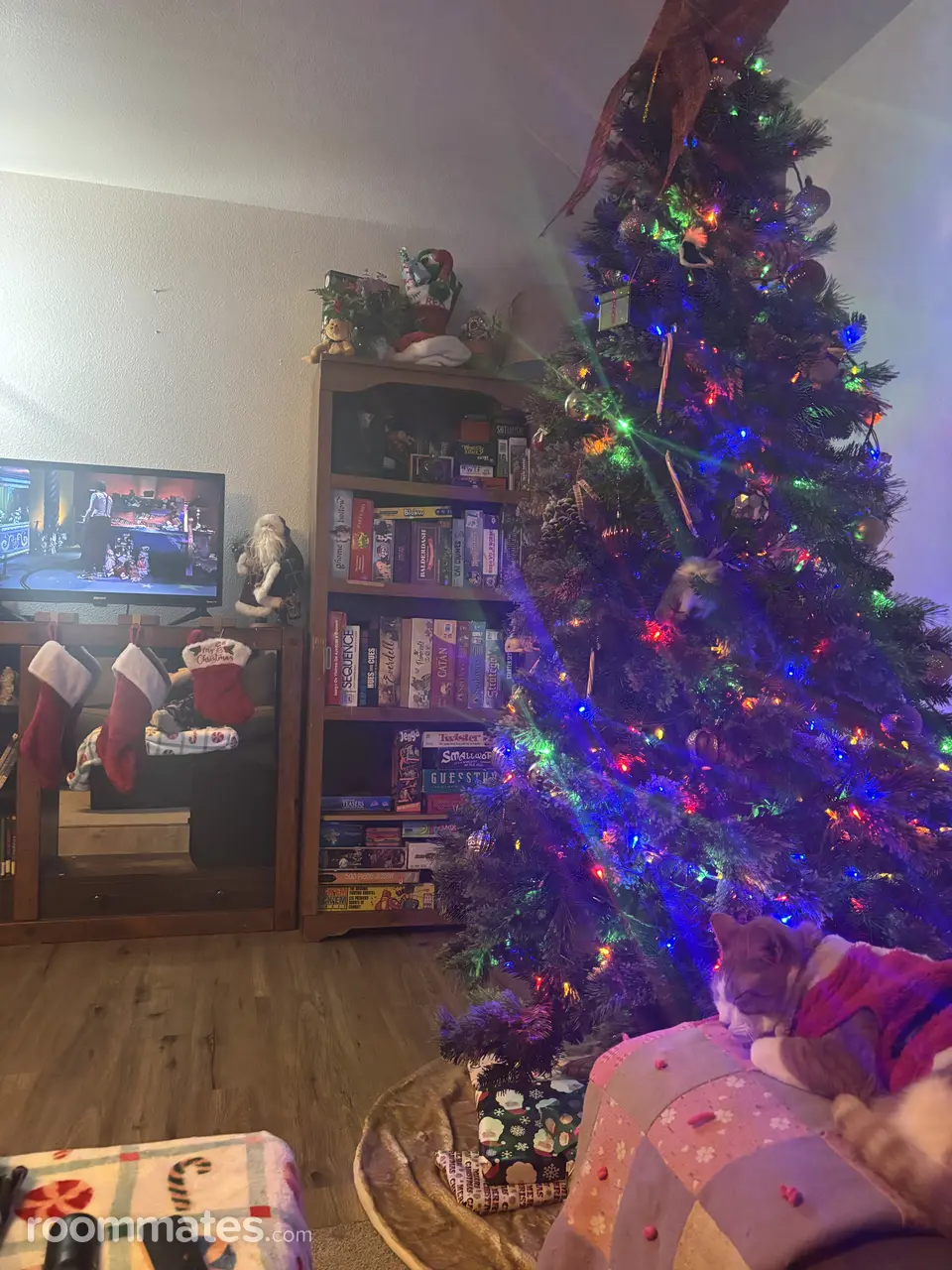 Profile photo 3 of 8