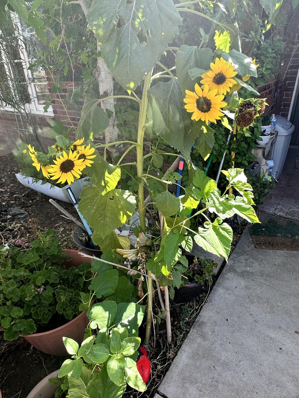 Profile photo 4 of 8