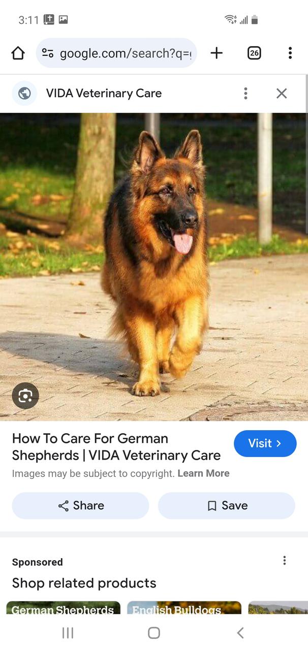 Profile photo 1 of 1