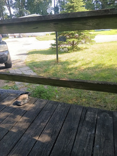 Room for rent in Quarryville, Pennsylvania $550, other