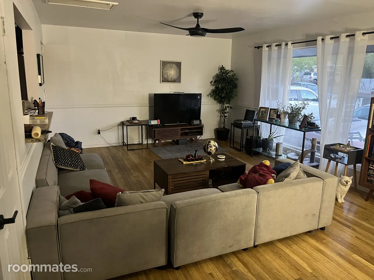 Profile photo 4 of 13