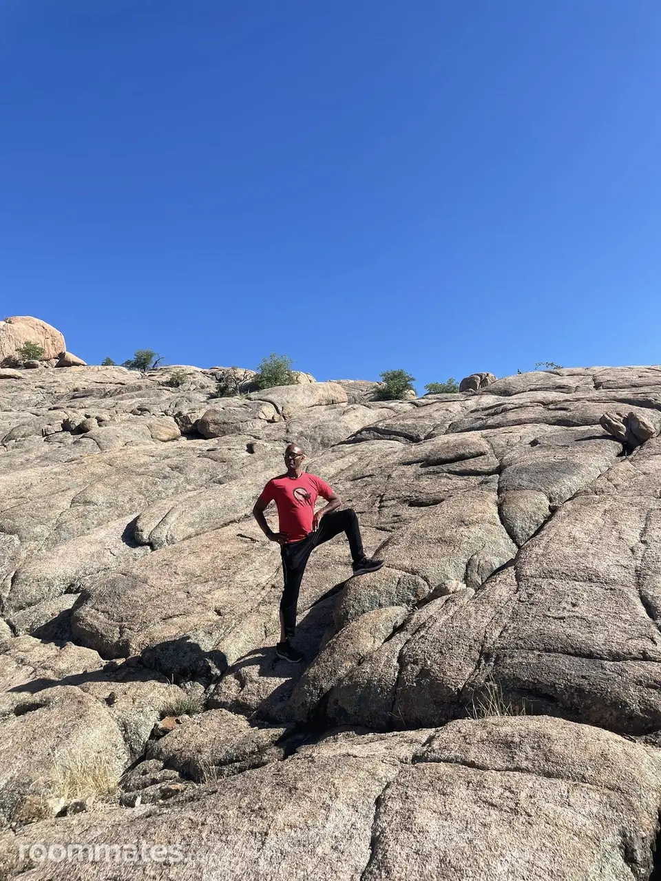 Profile photo 12 of 13