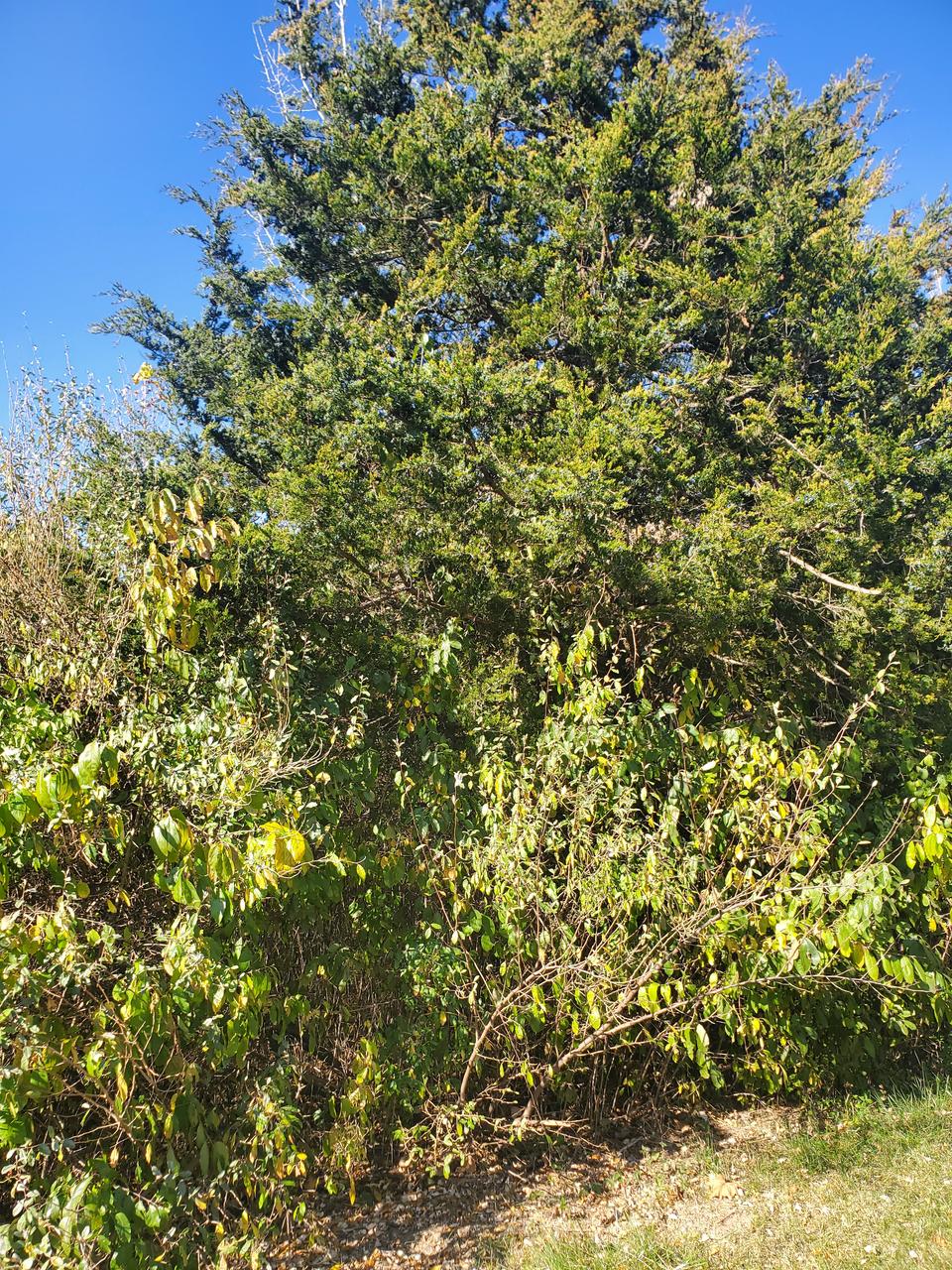 Profile photo 1 of 1