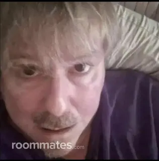 Roommate looking Greenville, SC, $700