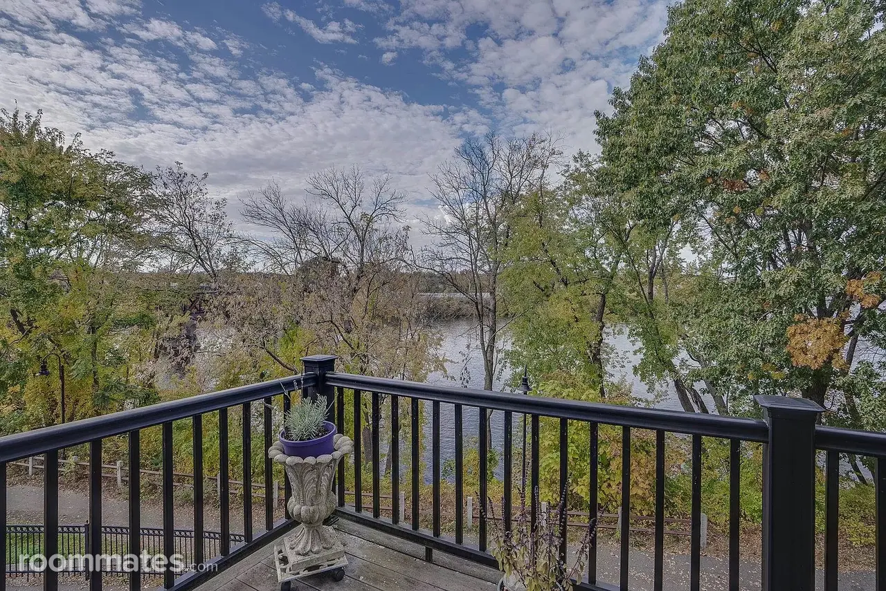 Profile photo 10 of 11