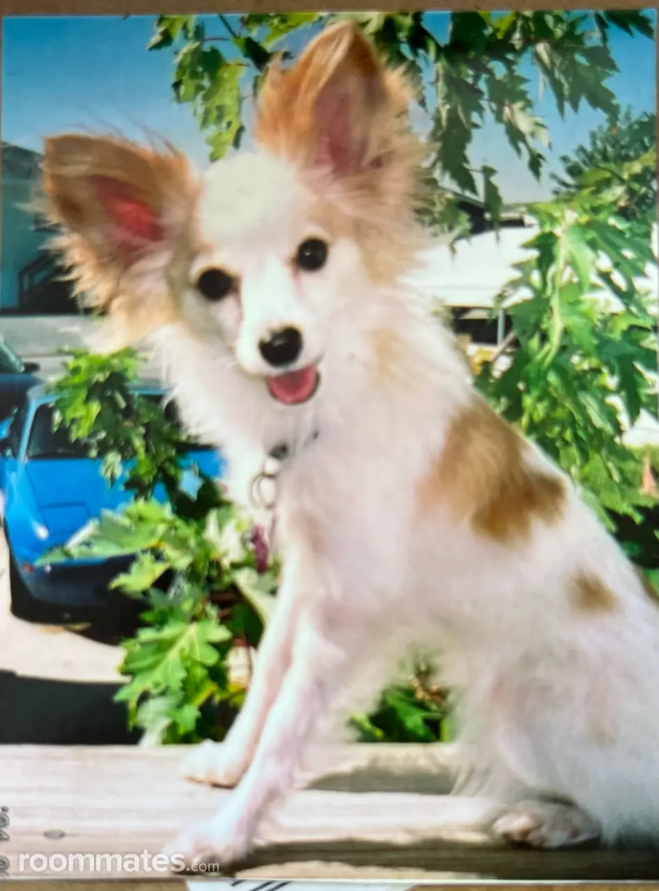 Profile photo 7 of 7