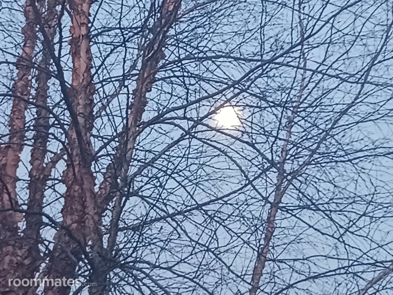 Profile photo 3 of 4