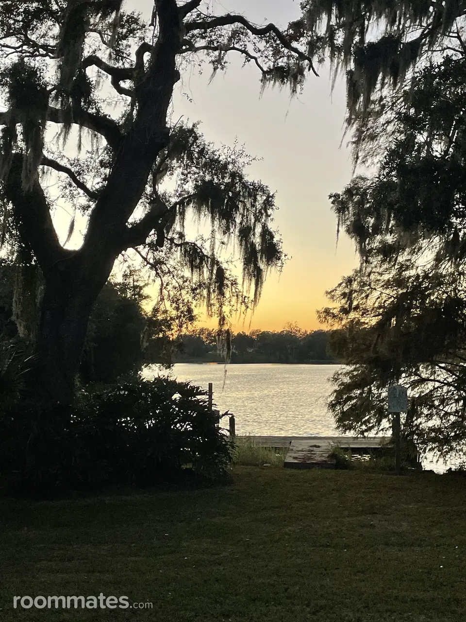 Profile photo 7 of 9