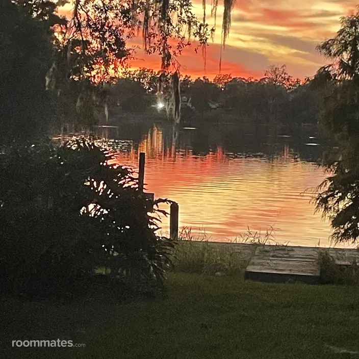 Room for rent in Tampa, FL $800, condo