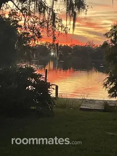 Room for rent in Tampa, FL $800, condo