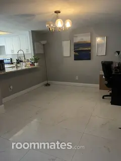 Room for rent in Tampa, FL $800, condo