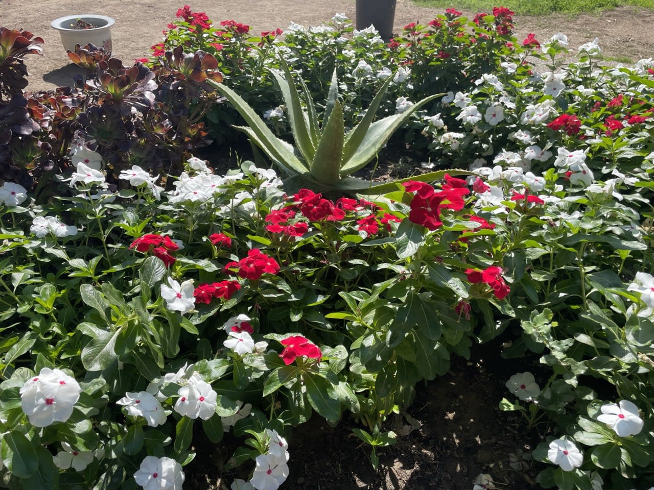 Profile photo 3 of 4