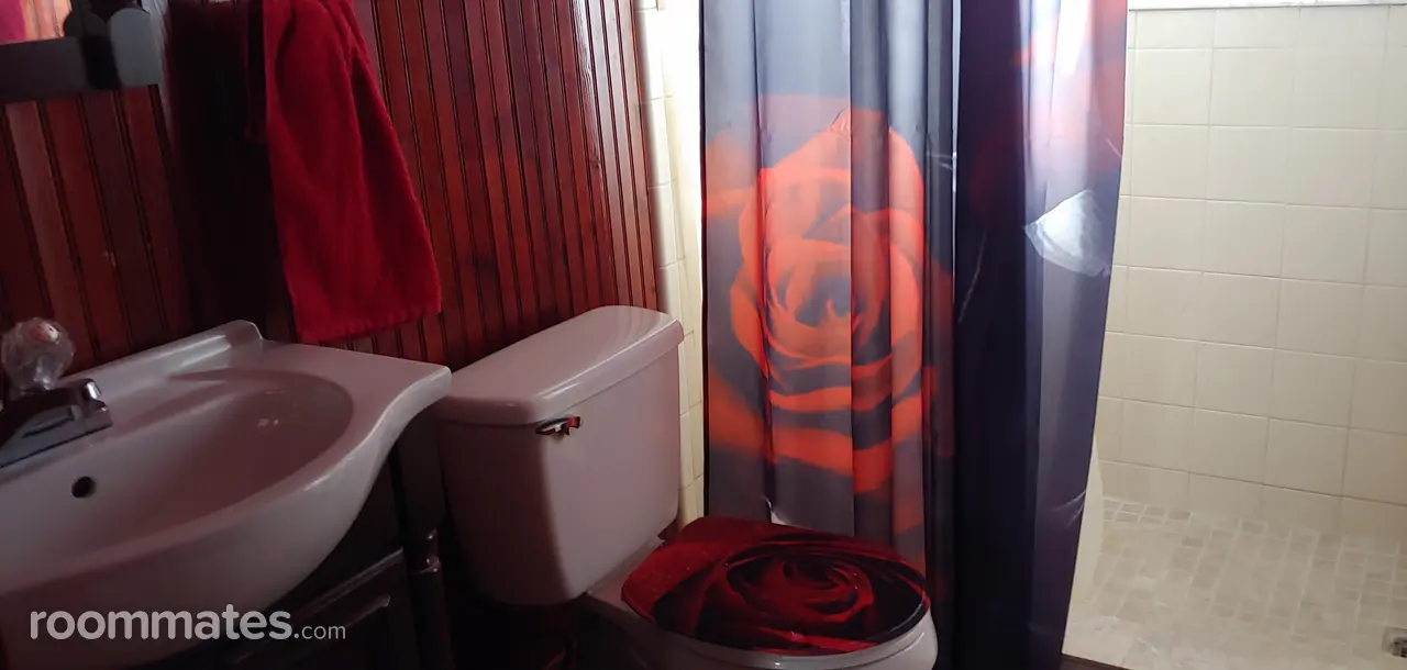 Profile photo 5 of 11