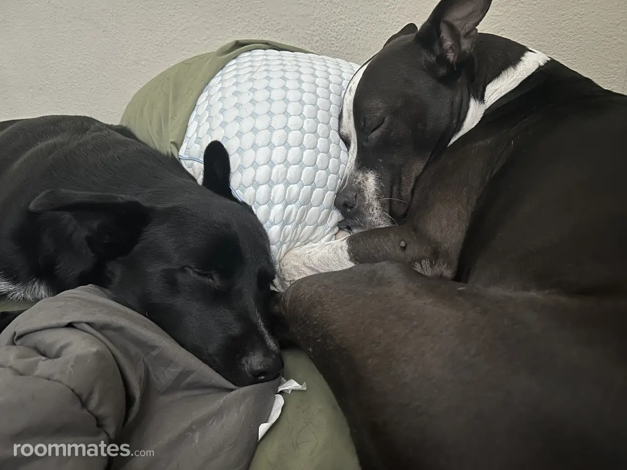 Profile photo 7 of 9