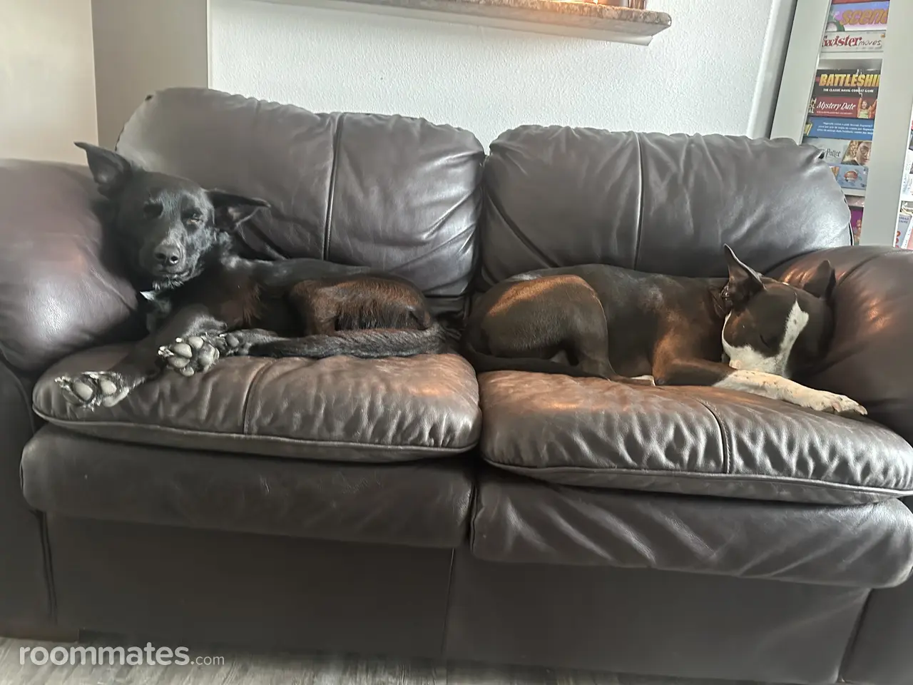 Profile photo 6 of 9