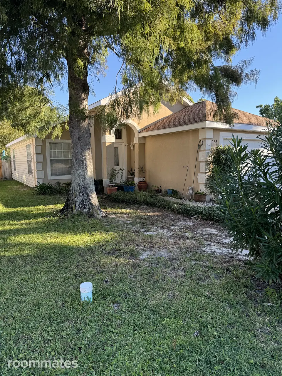 Profile photo 1 of 10