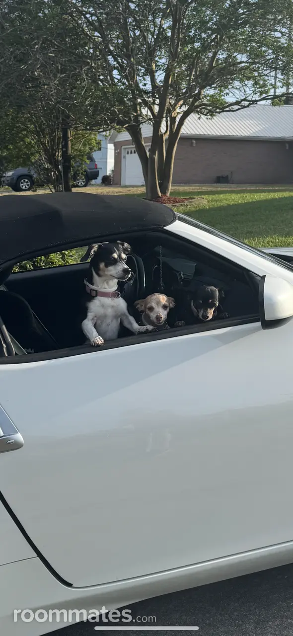 Profile photo 9 of 10