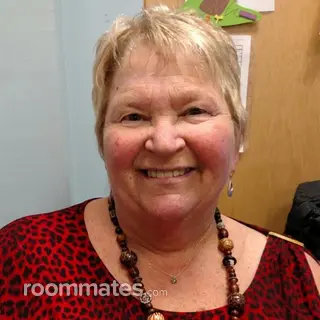 Roommate looking Revere, MA, $1000