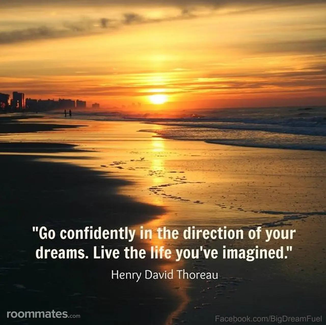 Profile photo 4 of 4