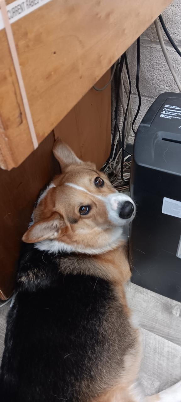 Profile photo 4 of 10