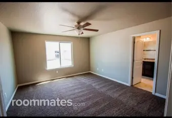 Room for rent in Windsor, CO $800, house