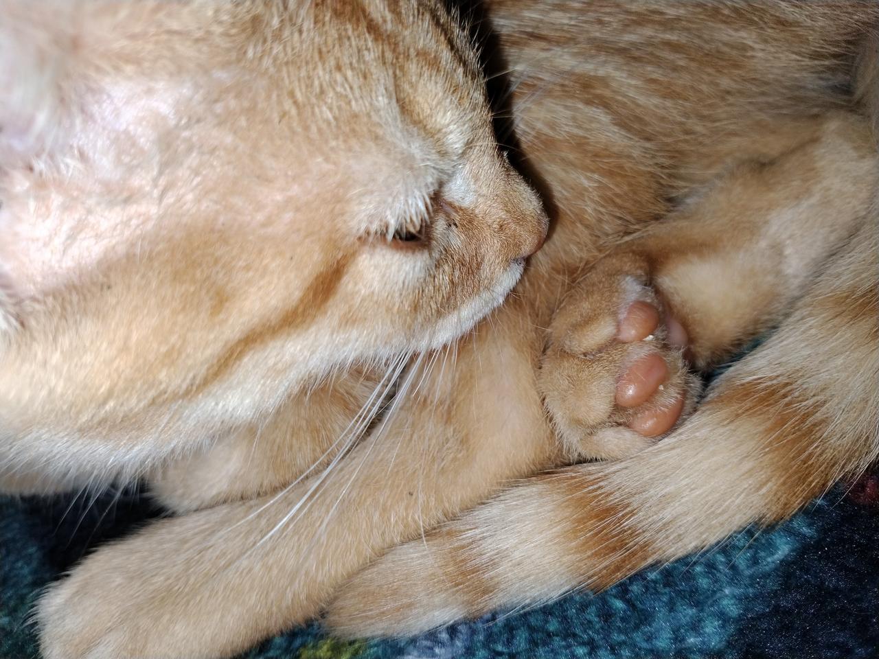 Profile photo 1 of 1