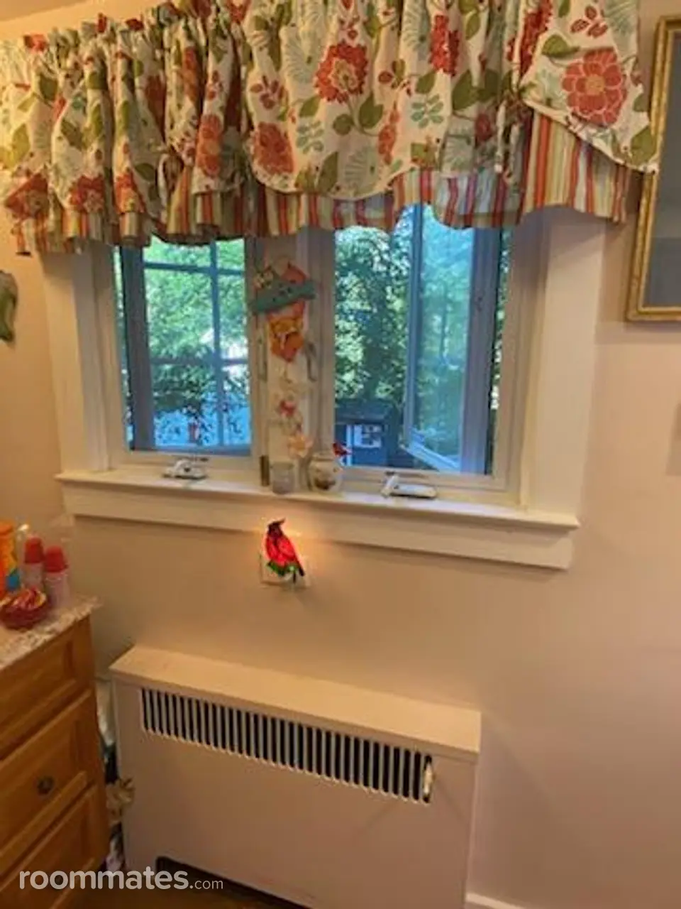 Profile photo 3 of 11