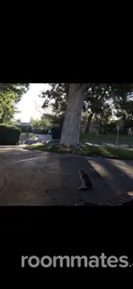 Room for rent in Northridge, CA $1300, house