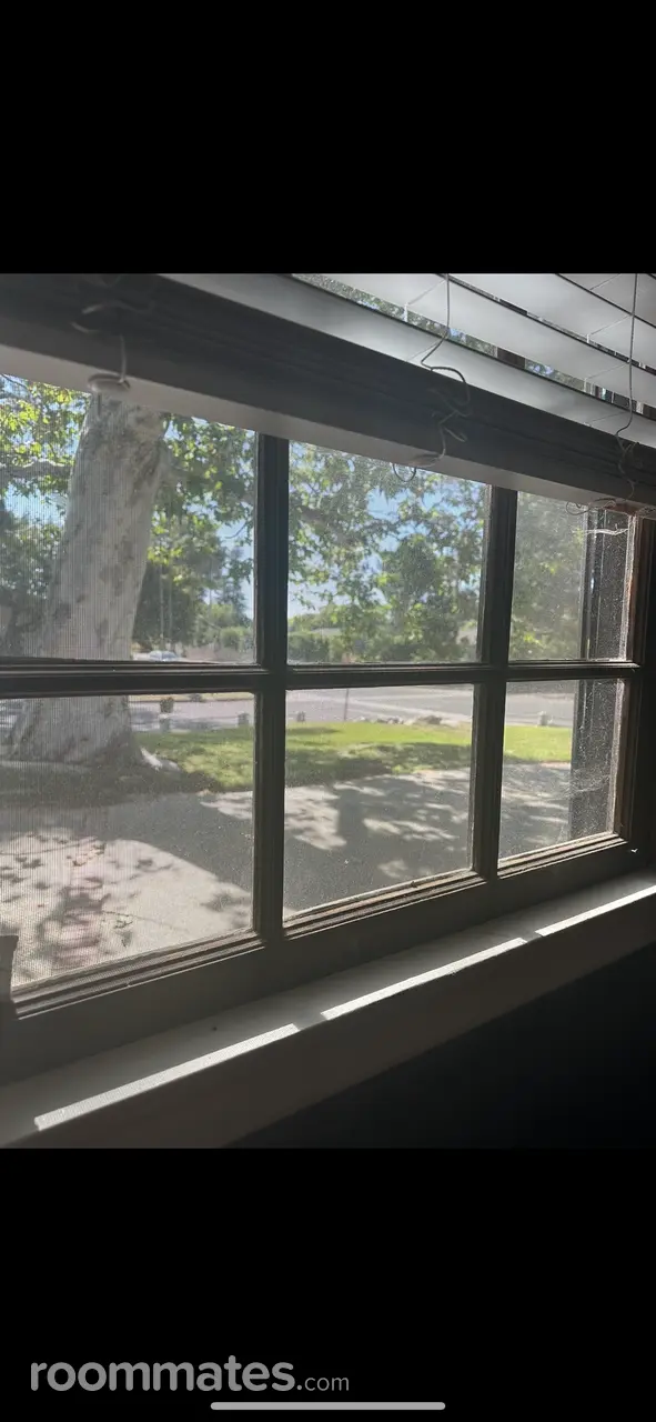 Profile photo 7 of 9