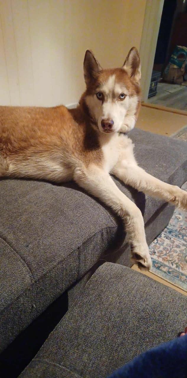 Profile photo 8 of 12