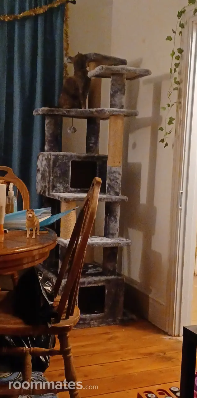 Profile photo 4 of 12