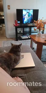 Room for rent in Mechanicsburg, PA $700, townhouse