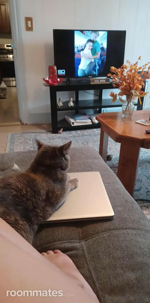 Profile photo 2 of 12