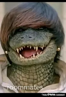 Roommate looking Jacksonville, FL, $800