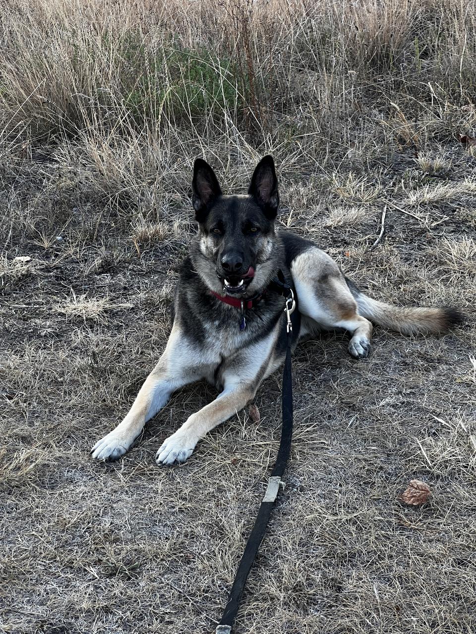 Profile photo 13 of 14