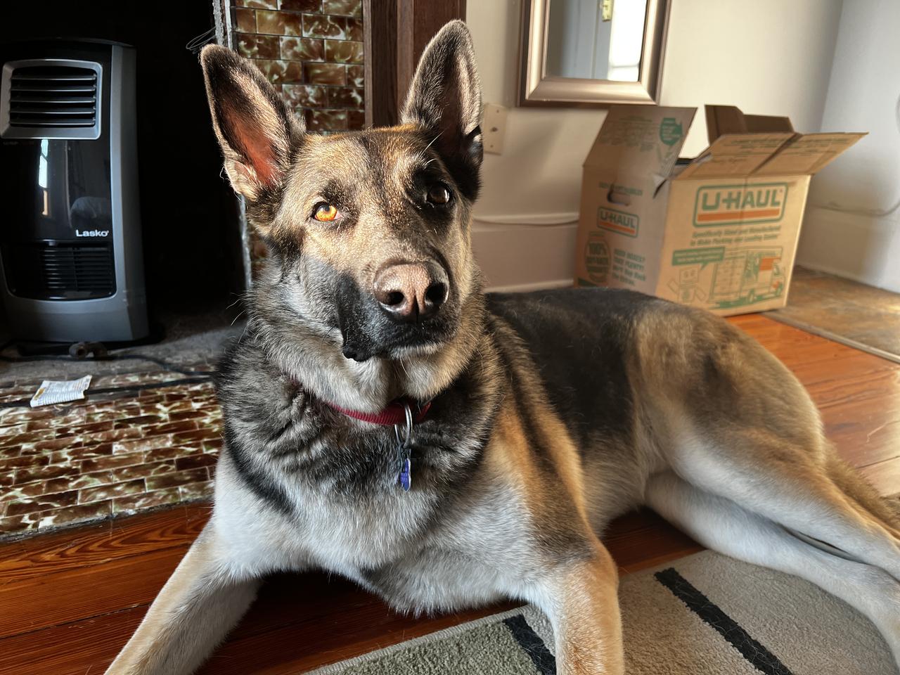 Profile photo 12 of 14