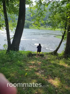 Room for rent in Avon, IN $900, other