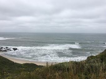 Roommate looking Redwood City, CA, $1200